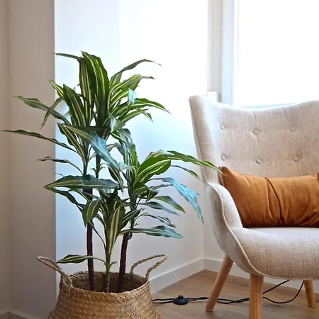 Akicity Charm Apartamento Lisboa